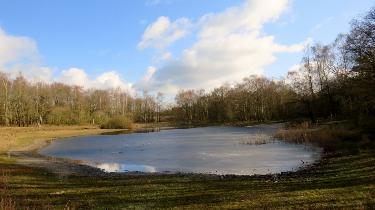 inja5248's tweet photo. #Kranenbroek #Hingen 🍀
foto 1 #Köstersvenke 12-02-2018
foto 2 #Köstersvenke 12-02-2019
duidelijk verschil van waterstand in het ven 💧
@WLomgeving https://t.co/NBh3htaAgx