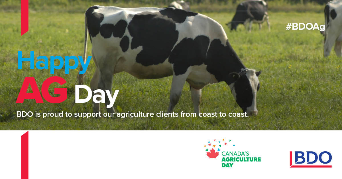 bvanparys's tweet photo. Join the #CdnAg conversation on Feb. 12 for #CdnAgDay! Follow us at @BDOCanada_Ag and tune into what #BDOAg experts are saying. https://t.co/zPLYHW8Tvi
