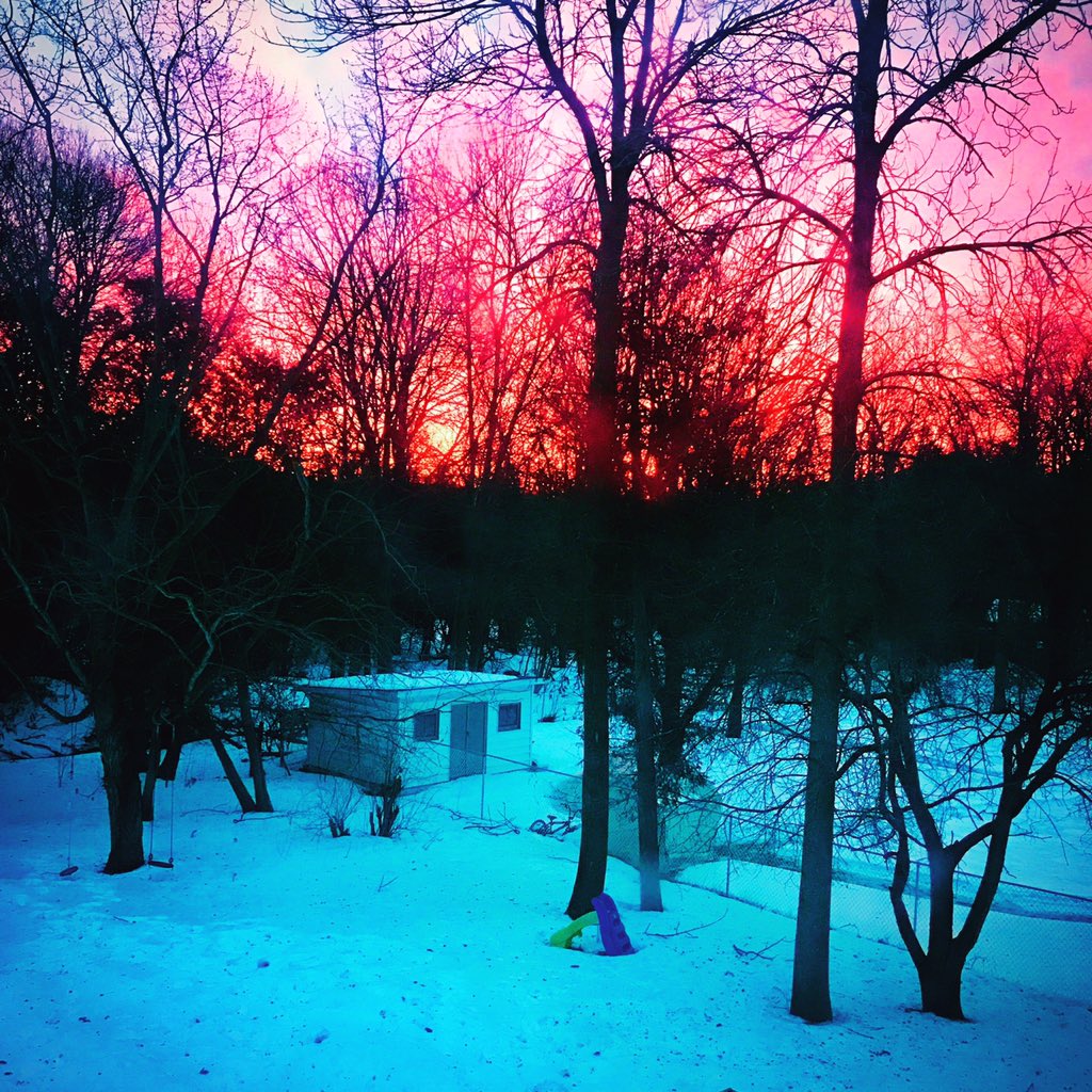 suznewf's tweet photo. Red sky in morning- take warning everyone!  #ONstorm #Snowmaggedon2019 https://t.co/LlMYiOVudc