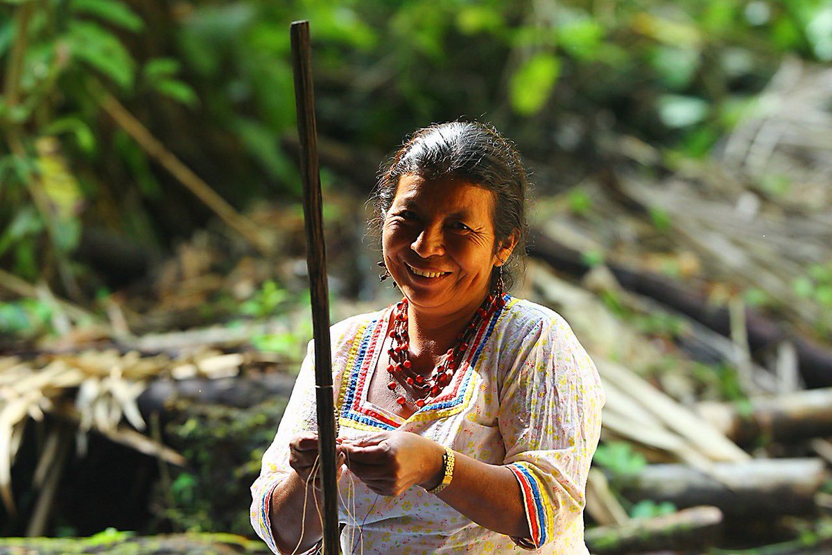 ViajaPrimeroEC's tweet photo. ¡Napo está de fiesta! Con celebración doble: Día de la Amazonía y sus 59 años de provincialización. Ven y admira sus paisajes desde el páramo hasta bosques húmedos tropicales. Además disfruta de la calidez de su gente, cultura y gastronomía. #EcuadorEsCultura https://t.co/881NzXRWzV