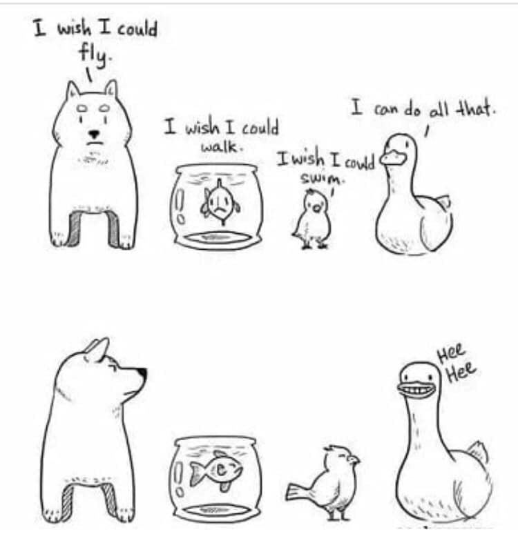 TheBurghBox's tweet image. 