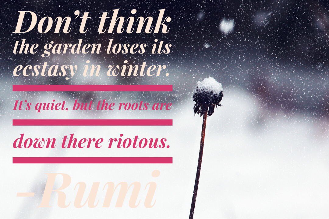Some gorgeous #TuesdayThoughts for this afternoon ☺️🌹❄️