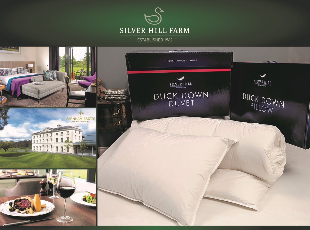 Silver Hill Duck tweet media