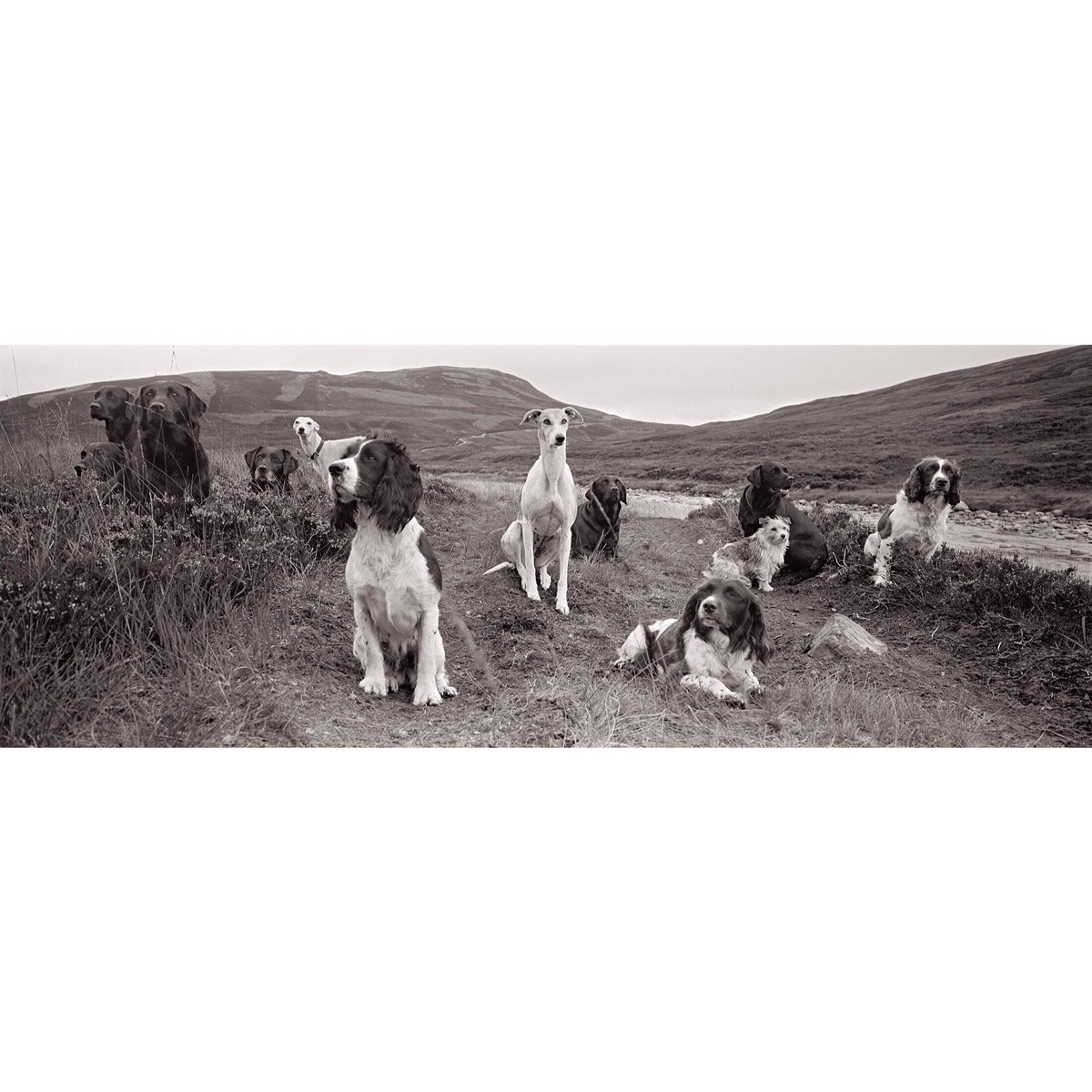 Augustus Brandt tweet media