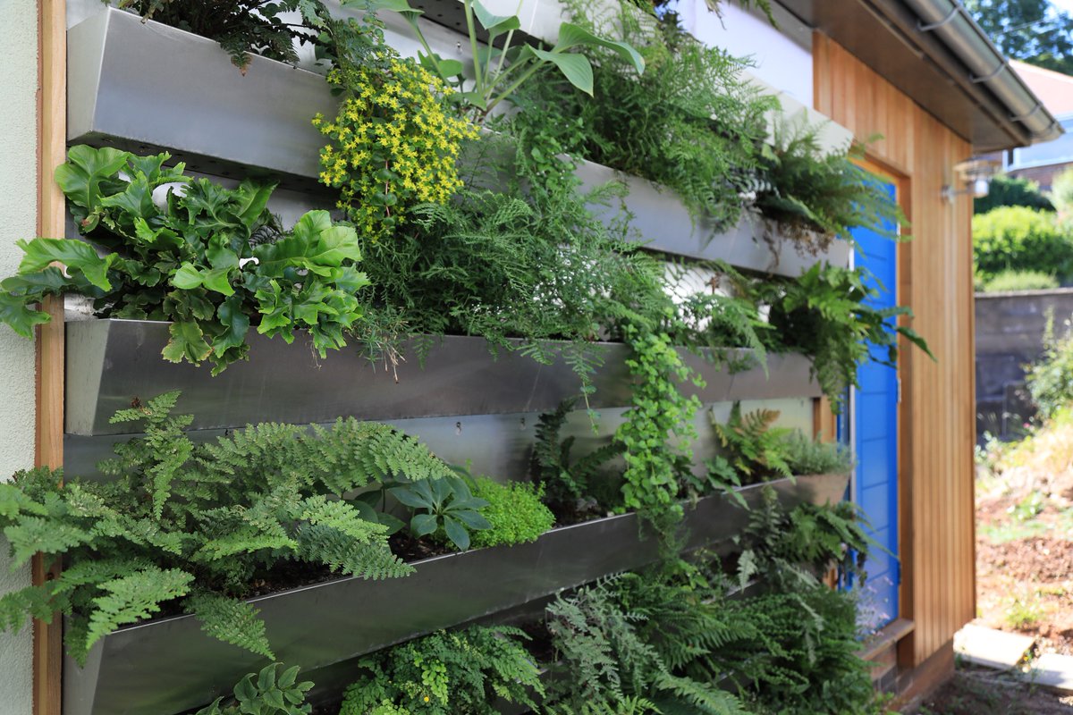 Marcus Rowlands tweet media