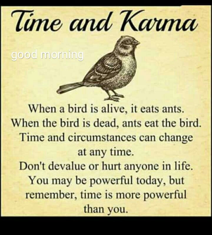 Labdakh_Abdu's tweet image. 