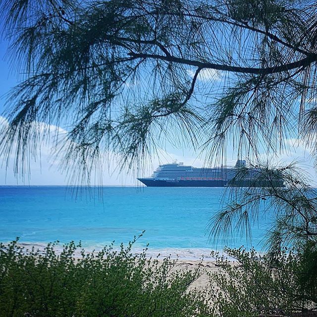 peternasonov's tweet photo. #NiewStatendam in #HalfMoonCay #bay 
#atlanticocean #caribbeansea #cruise #cruiseship #beach #bluewater #pristinewater #bahamas #winervacation #fun https://t.co/H675zIY83p https://t.co/PusEzdJgtx