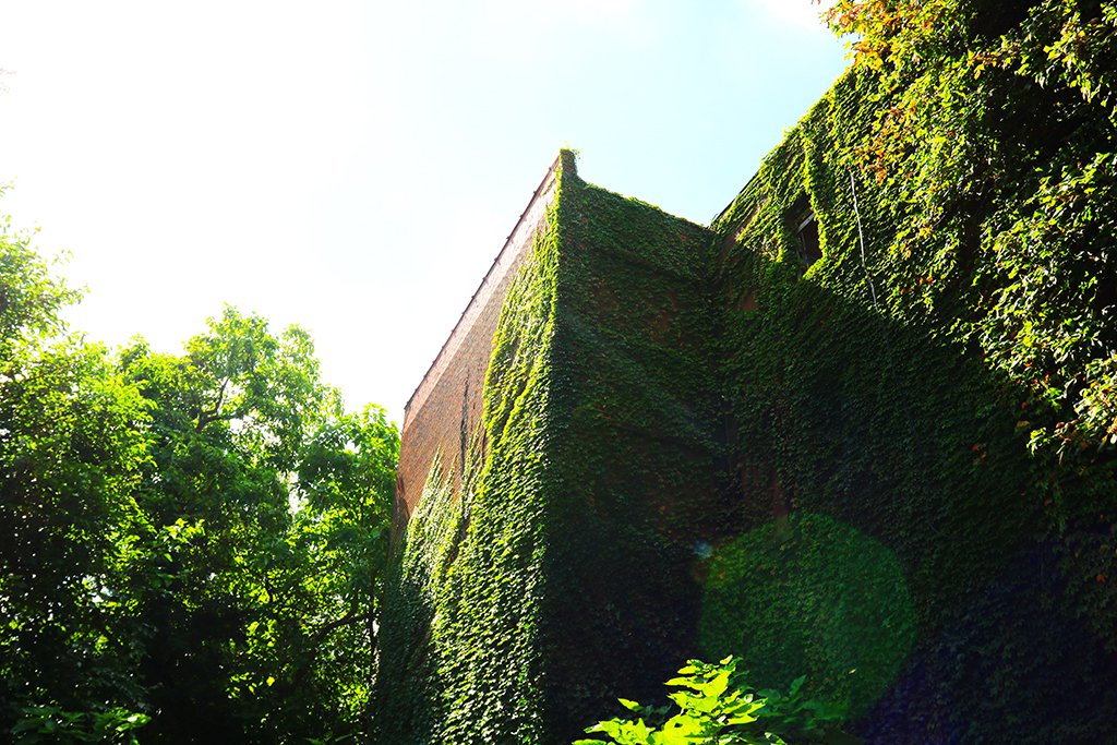 SmartlandC's tweet photo. A rare instance of nature and man-made coming together to make something beautiful. What do you want to build?
https://t.co/D1uchTpKxl

#construction #architecture #building #design #art #renovation #landscape #photography #contractor #realestate #remodeling #remodel #builder https://t.co/xitxyKKw9s