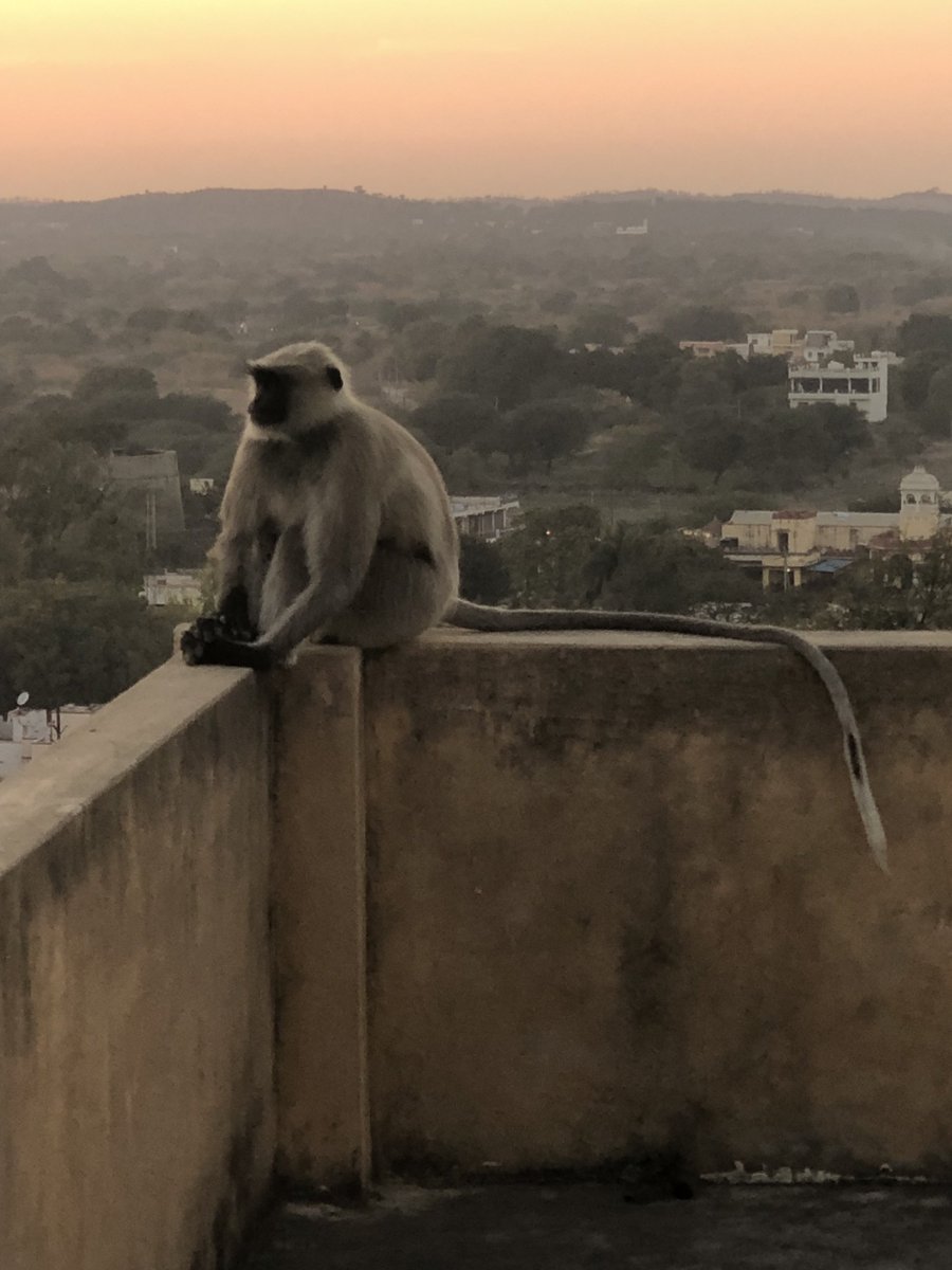My neighbor in Deogarh. 