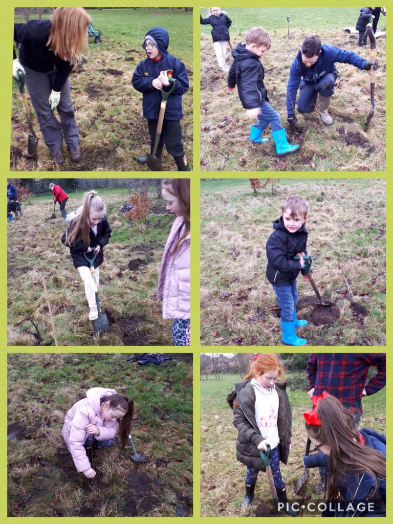 Our little seedlings from Gardening Club thoroughly enjoyed spending time with @NGPFriends and @Trees4Learning in fabulous Norris Green Park, planting trees to create a future forest @merseyforest... we'll be back soon! 🌲🌳🌿