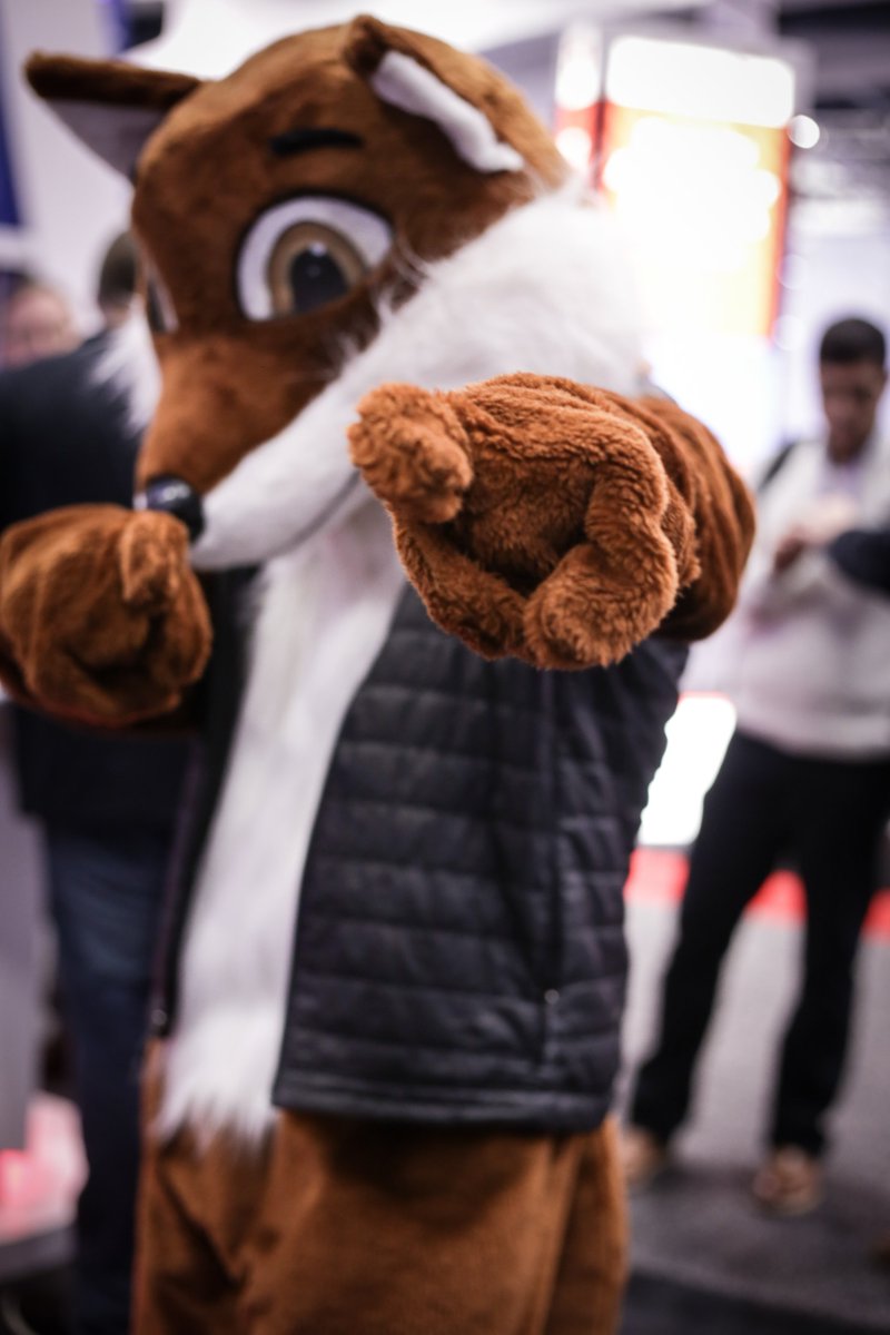 ZeroFox's tweet photo. Come meet the ZeroFOX team at booth #1859 at #RSAC this year! Pick up your swag, snag a pic with Zero the Fox and see what's new #EngageSecurely RSA Conference https://t.co/lqQ9zfhULv https://t.co/bystfasfKA