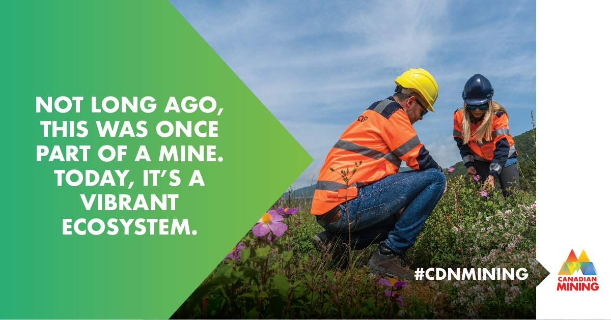 theminingstory's tweet image. DYK that in 🇨🇦, #mining companies are required to plan for closure before entering into production? #Reclamation is an essential part of the mining process and an important element of MAC's #TowardsSustainableMining program bit.ly/2GFczxC #TriviaTuesday