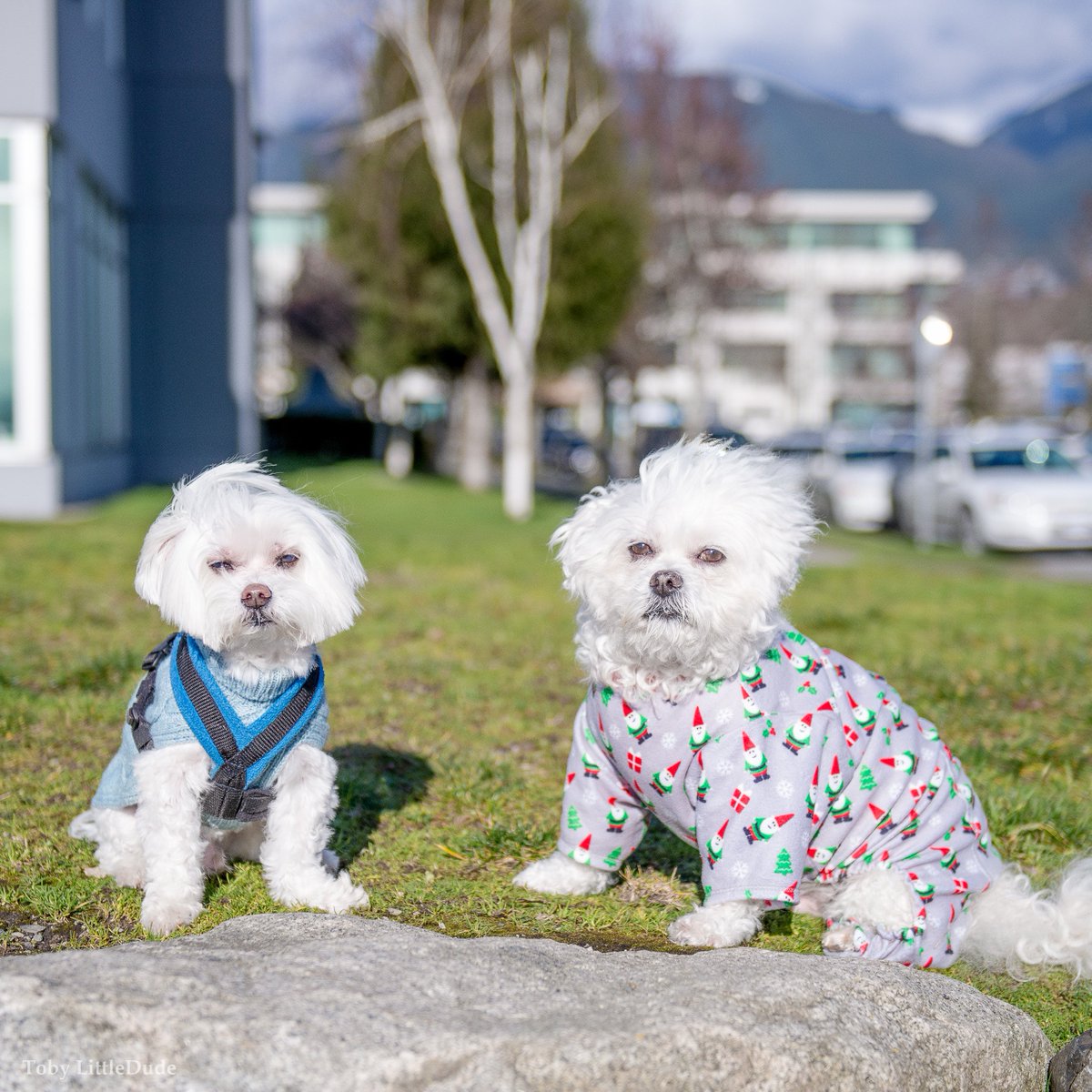 When your mom wants the perfect instagram photo but you're just not feeling it.