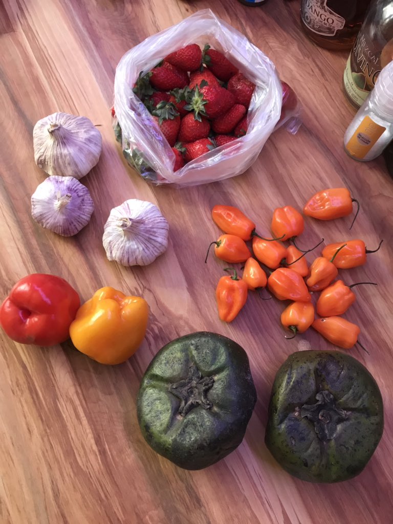 cellular_bud's tweet image. Обещал бомбический рецепт - держите! Потребуются перцы хабанеро, манго или концентрат с мякотью манго, чеснок, соль, сахар, паприка, мука и куриные крылья. Ну, и по традиции: как дела? чего не спите? Присылайте ваши новые твиты с запахом!