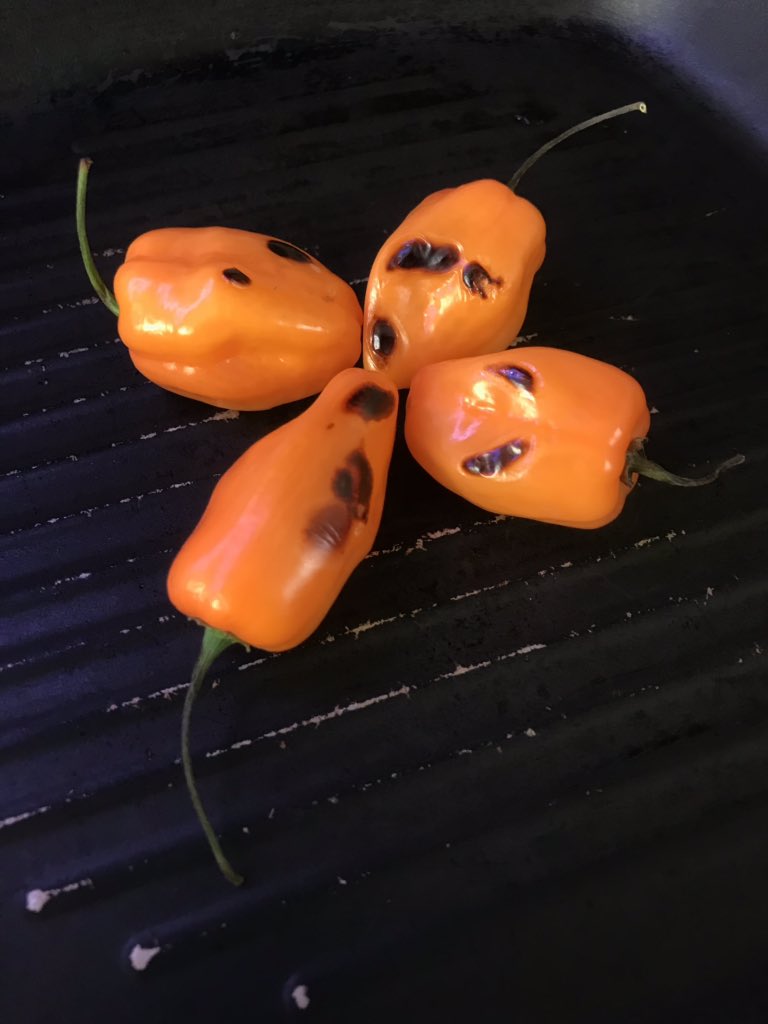 cellular_bud's tweet image. Обещал бомбический рецепт - держите! Потребуются перцы хабанеро, манго или концентрат с мякотью манго, чеснок, соль, сахар, паприка, мука и куриные крылья. Ну, и по традиции: как дела? чего не спите? Присылайте ваши новые твиты с запахом!