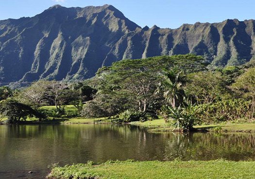 Featured Event: Come explore contemporary art connected by the Pacific from 47 artists and art collectives.

Title: The 2nd Honolulu Biennial
Host: Honolulu Biennial
Date: Mar 08, 2019 - May 06, 2019 

Photo and Text Credit: honolulubiennial.org