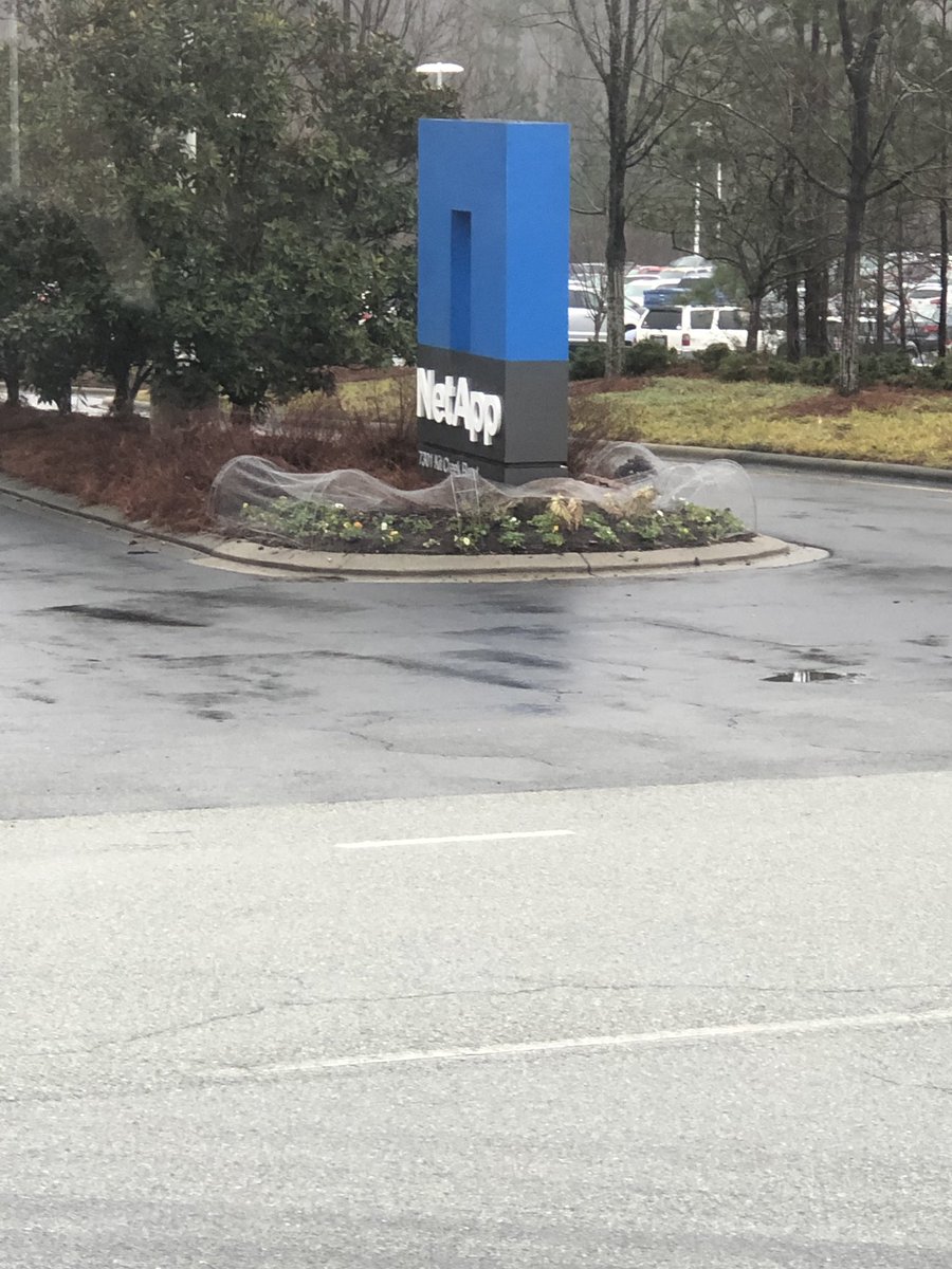 aliseonmath's tweet photo. Field trip time! Student Discovery goes to NetApp rtp @netapp #netapprtp @eastwakehs @KnightDeal2518 @rmp4412 @KnightdaleHS https://t.co/JD61dXYalK