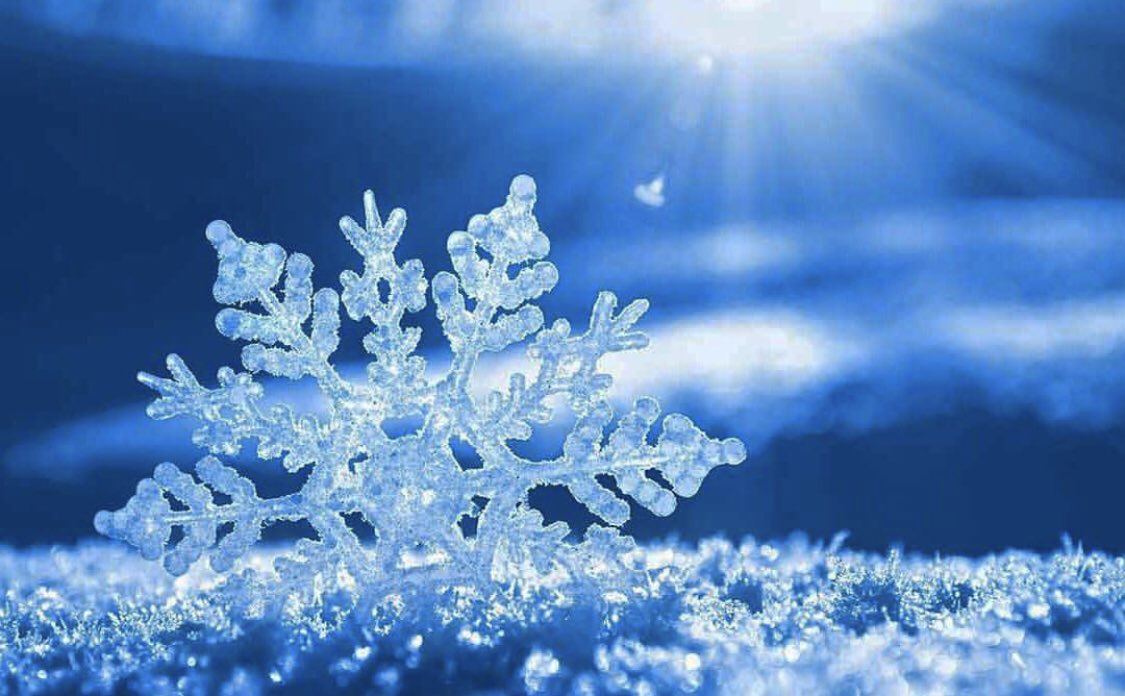 STUDIO CLOSURE Notice - both Mississauga and Etobicoke location are closed today due to this crazy weather...
#staysafe #drivesafe #practiceathometonight