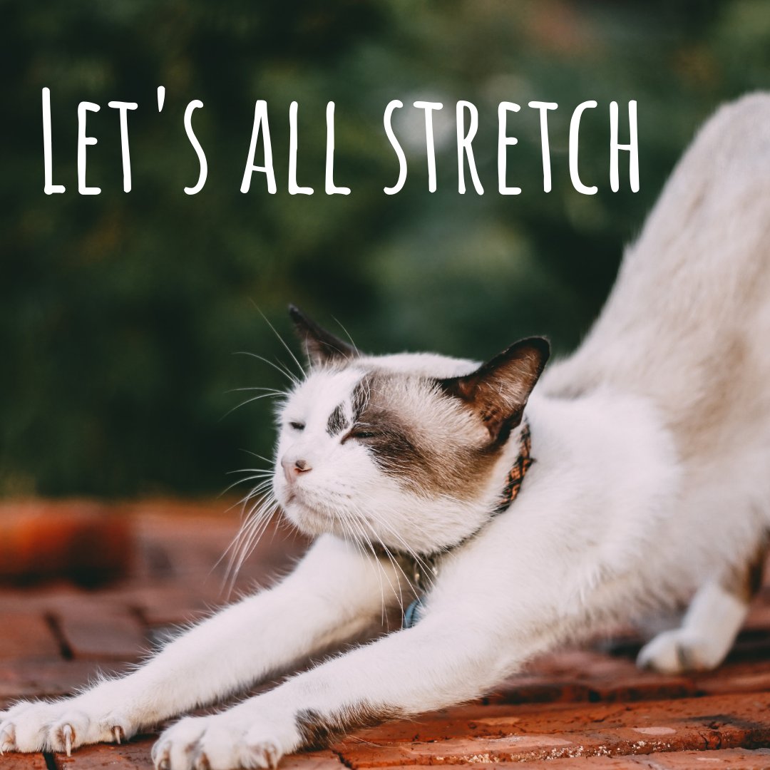 🌸Tuesday's Top Tip:

Try gentle stretching of arms legs waist and hips when you get up in the morning, helps with flexibility, easing pregnancy aches and pains enhancing your body's range of motion, go on give it a try😊🤸‍♀️🧘‍♀️
#womenswellbeing #pregnancyexercise #pregnancyhealth