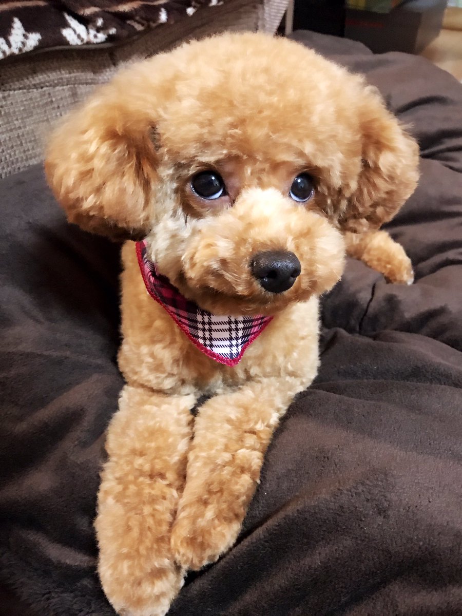 まーるまる Marumaruasami Twitter まーるまる Marumaruasami Twitter
