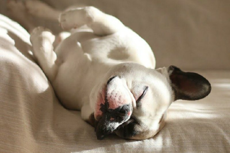 #FUERZAJUANCA gofundme.com/6ux2l28?sharet… <a href="/gofundme/">GoFundMe</a>