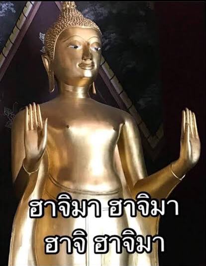 ดลลี่ สิริวํโส (เภณี) tweet media