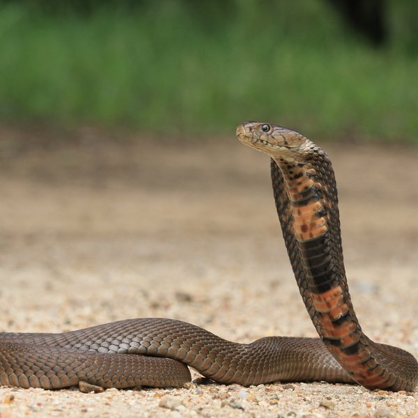 Isabelle BOLON tweet media