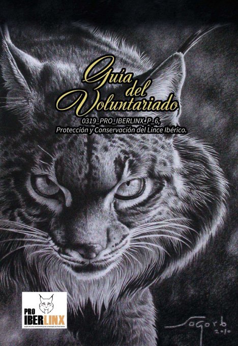 Exclusiva!
El día 14 de febrero, presentaremos la "Guía del  Voluntariado del Lince Ibérico", en colaboración con el Ayto. de Valencia del Mombuey. Y como invitado de honor, Miguel Delibes de Castro.
En el C.I del P.N. de Cornalvo, Trujillanos, a las 17.30.
Muy emocionados!