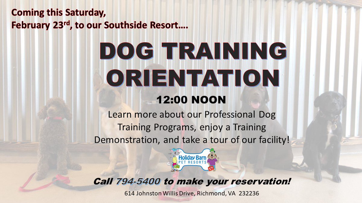 Holiday Barn On Twitter Free Dog Training Orientation Next