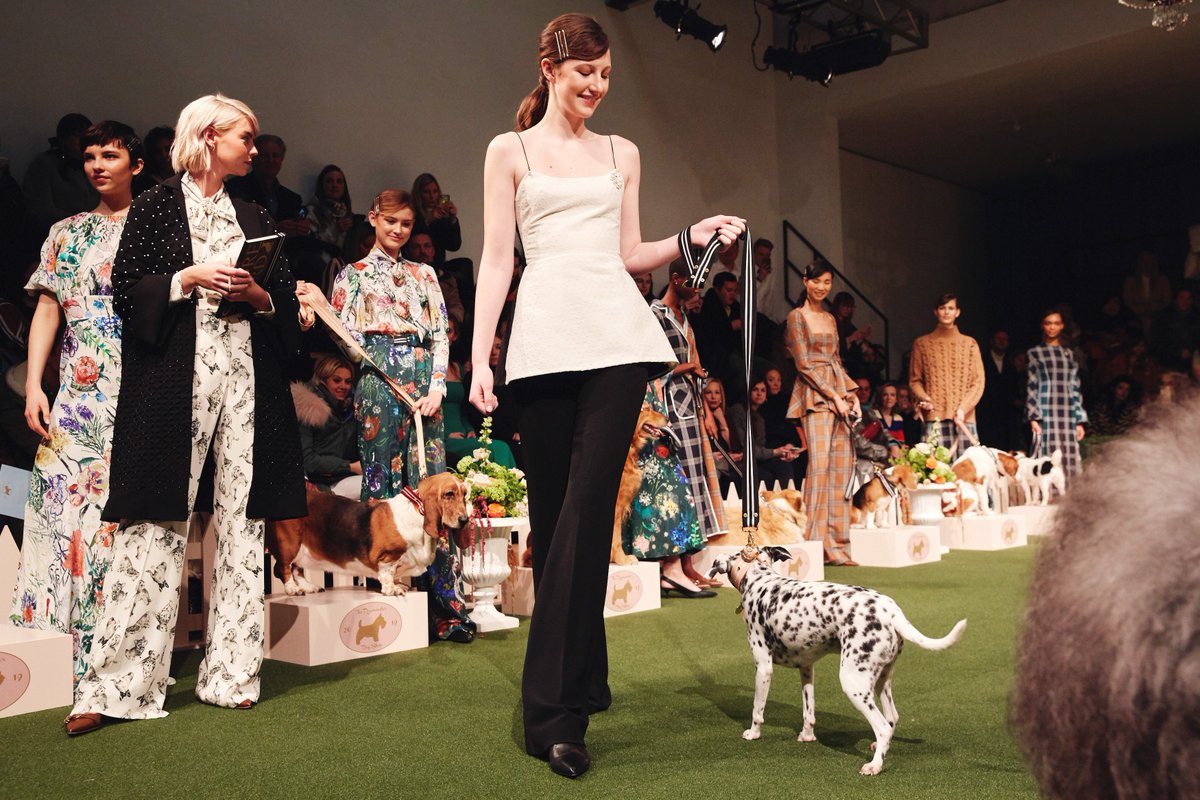 Fashion Goes to the Dogs!! #Fall2019 #RoseminsterDogShow #nyfw2019