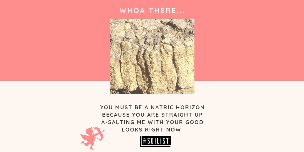 The_Soilist's tweet photo. Double the fun for today’s installment of 7 Ways in 7 Days to Woo a Soil Scientist #tuesdee #soilscicomm #thesoilist #scicomm #soilhorizon #soilscience #soiltaxonomyishilarious https://t.co/Uucn65XJCv