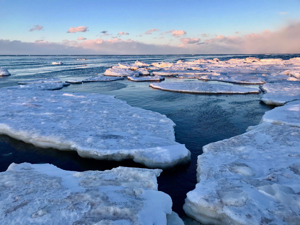 ParksCanadaPEI's tweet image. North shore ice floes recently captured by L. Gauthier. #Dalvay #PEINationalPark