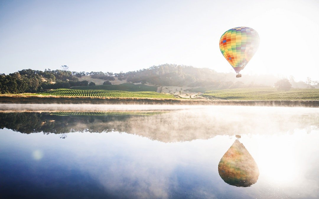 caliwineX's tweet photo. Epic photo by Sebastien Gabriel @sgabriel
#vineyard #wine #winery #winecountry #californiawine #vino #wines #vineyards #winetasting #winelover #tasting #napa #napavalley #caliwinx #hashtagaddict https://t.co/Xgo8A2coOw