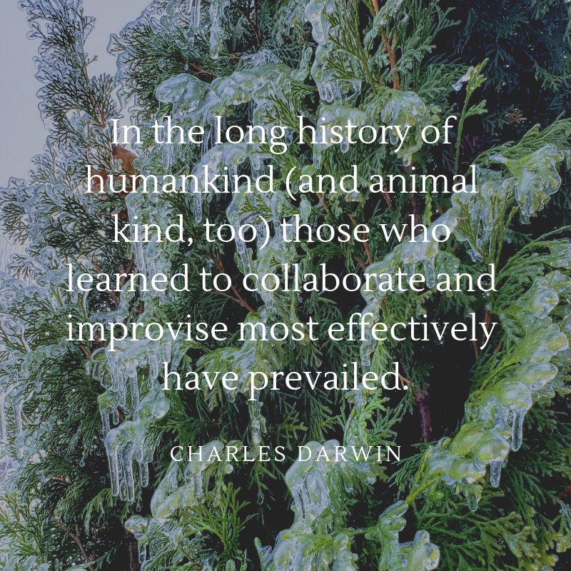 Thank you to those in #ServiceIndustries! On an icy Michigan day, trash collectors, mail carriers, gas station attendants and countless others don't have the luxury of working from home; they collaborate and adjust to continue to deliver great #CXs.

#DarwinDay #SnowDay