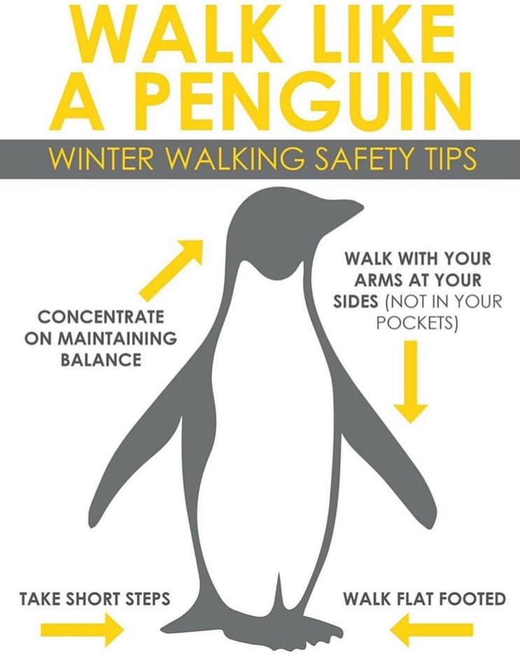 Live_Pain_Free's tweet photo. Enjoy the blustery day! We will be closing early today (2:30) to try to keep people off the roads and safe. Here are a few tips to stay up and on your feet! Be a penguin! #SnowDay https://t.co/B2DSDPcyW4
