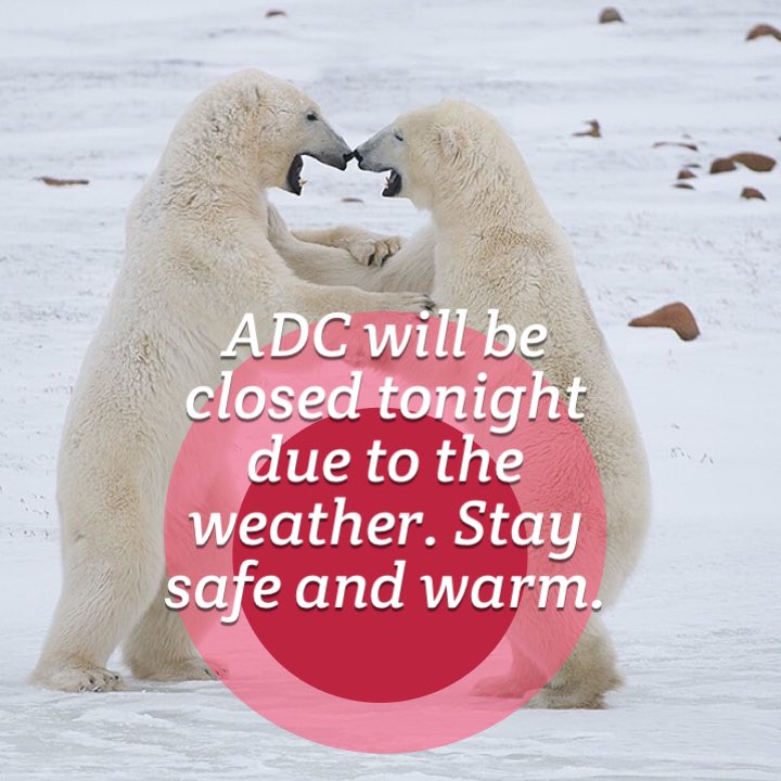 artisticdance's tweet photo. https://t.co/8tATybDCzk