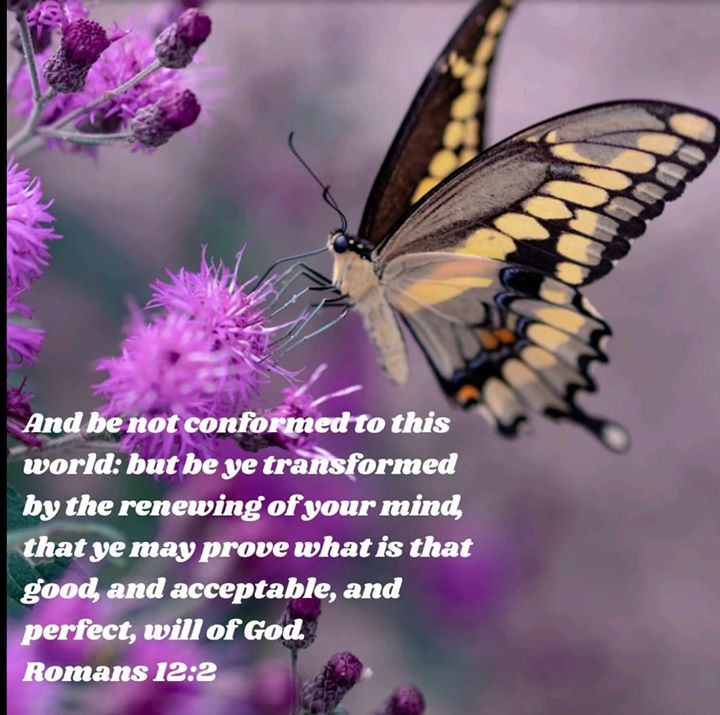 WTWNIJ's tweet photo. If we want to see true transformation in ourselves, and in our lives, we must spend time with God, and in his word daily, renewing our minds daily! Amen! #transformationtuesday #realtransformation #lastingtransformation https://t.co/ESzPWhc8TL