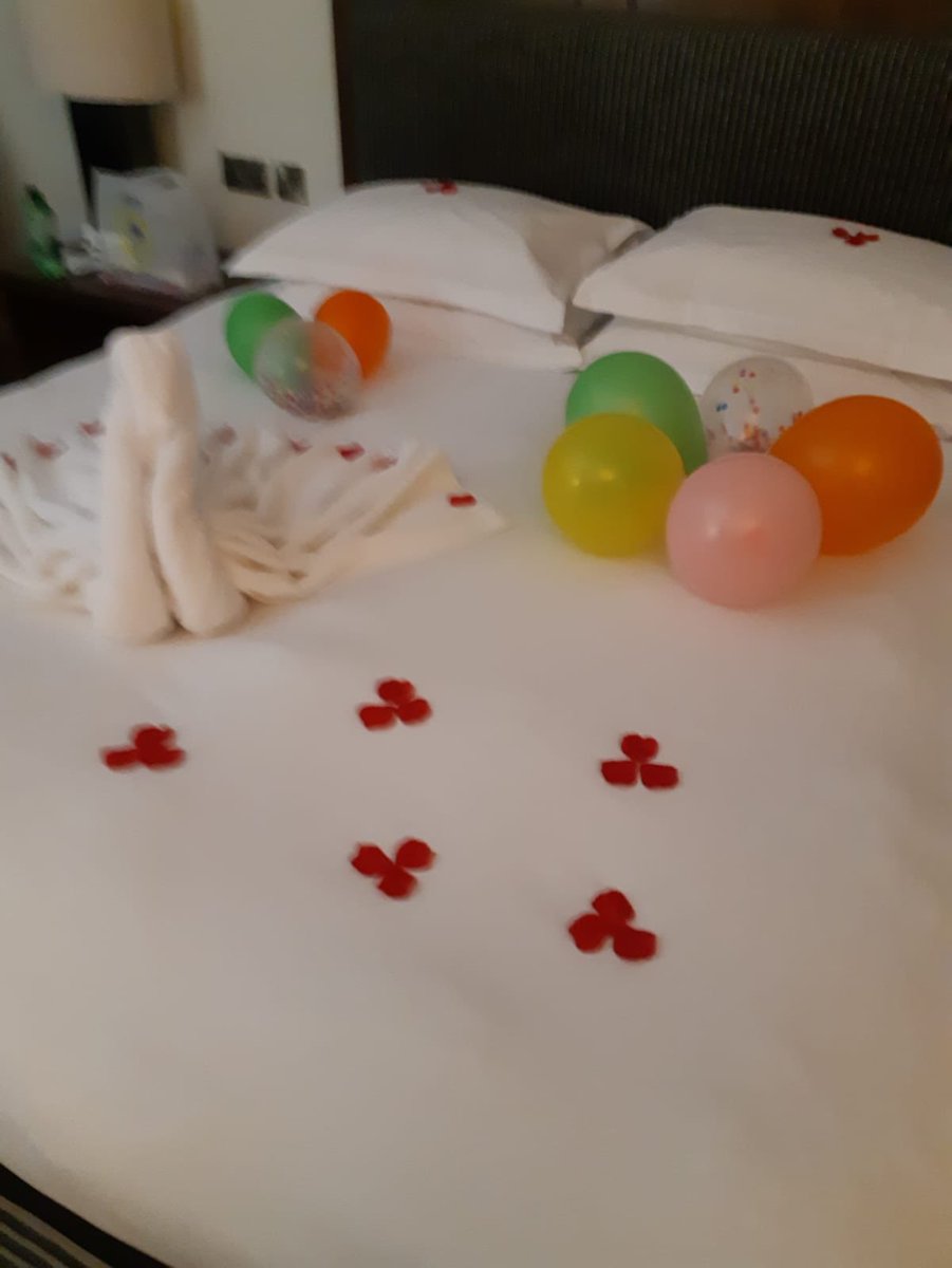 heiksb's tweet photo. What a lovely early birthday surprise! Nice to be back! @power_natalie @HyattBham https://t.co/dc5yLnLyLh