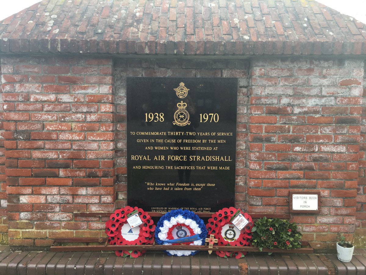 Amanda 🏳️‍🌈🔮 tweet media