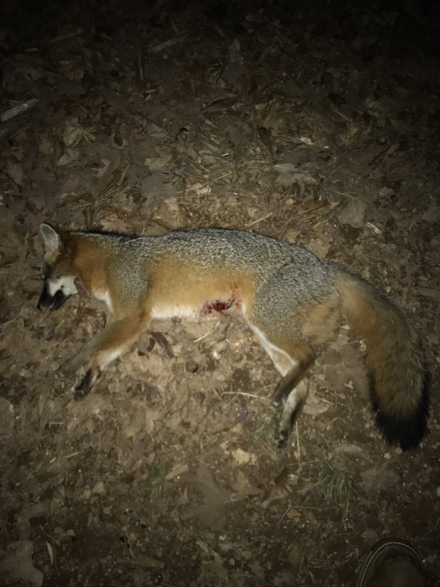 RobbieAngles's tweet image. 