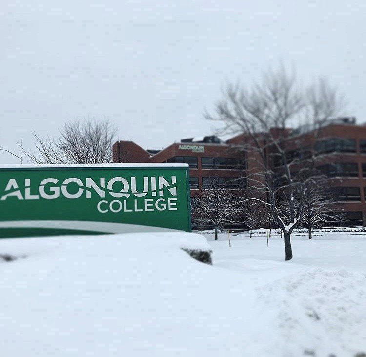 Algonquin College tweet media