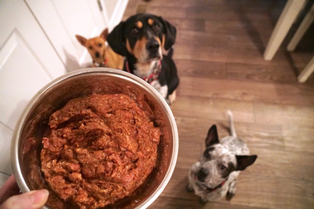 best raw dog food delivery