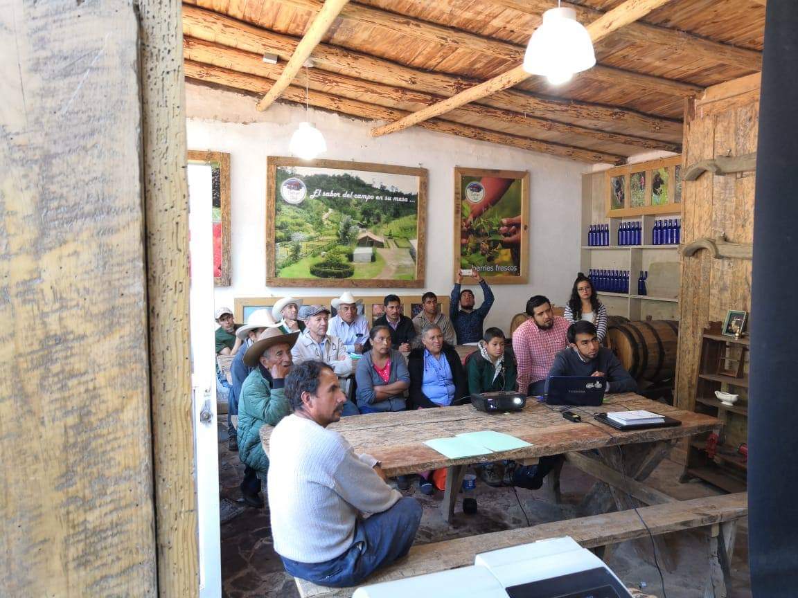 federiconunezp's tweet photo. Realizando trabajo colaborativo con los productores de la sierra norte de #Puebla, para producir orgánicamente blueberries y así también cuidar el medio ambiente!! https://t.co/1UPxNhVzuh