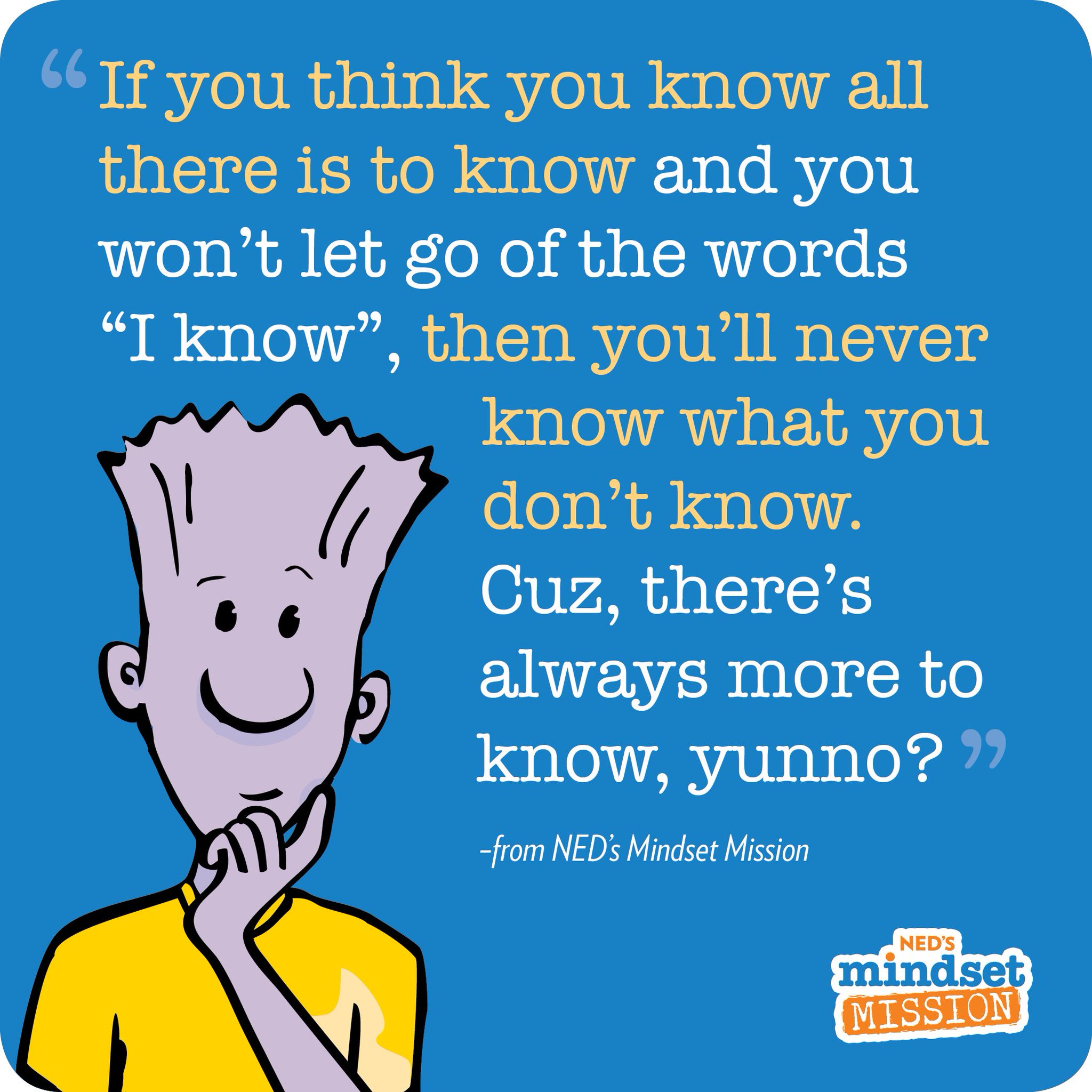 ned's mindset mission yoyo