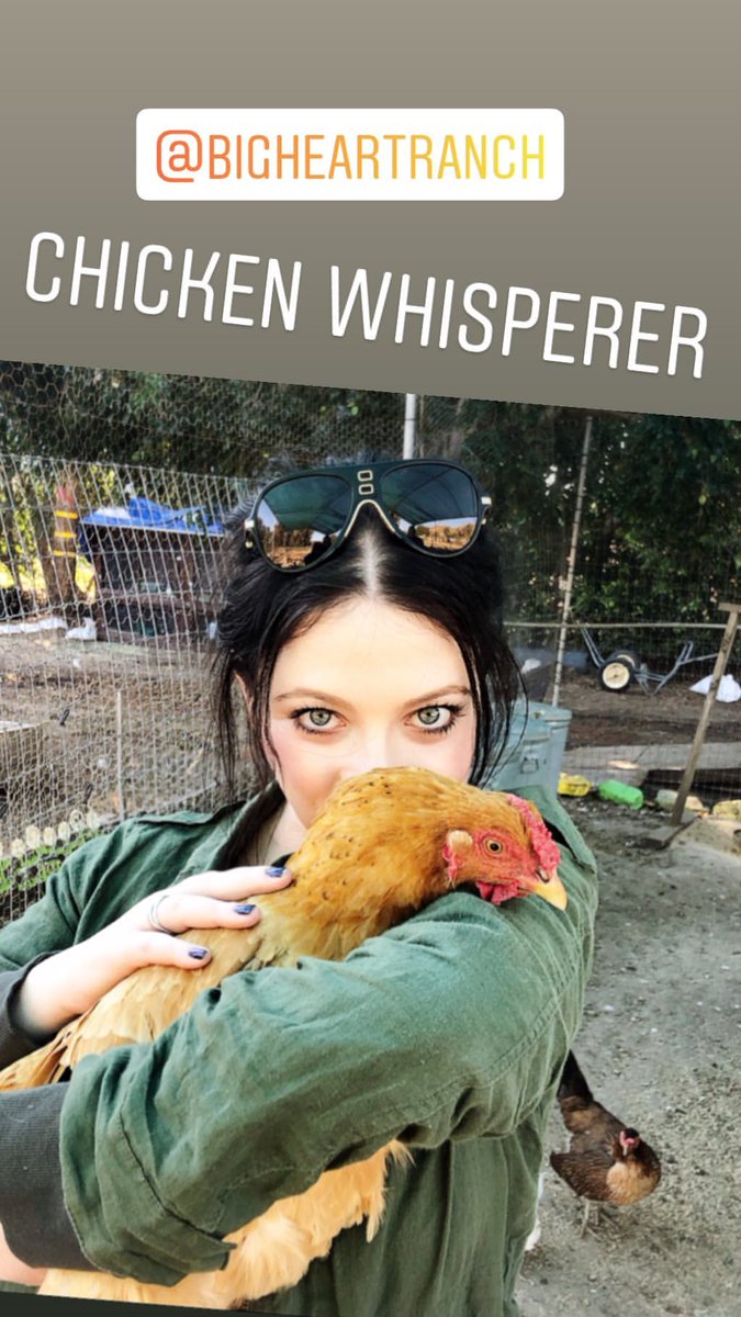 Twitter Michelle Trachtenberg nudes (94 photos), Tits, Sideboobs, Selfie, cameltoe 2019 Twitter Michelle Trachtenberg naked (75 photos), Topless, Bikini, Instagram, legs 2006
