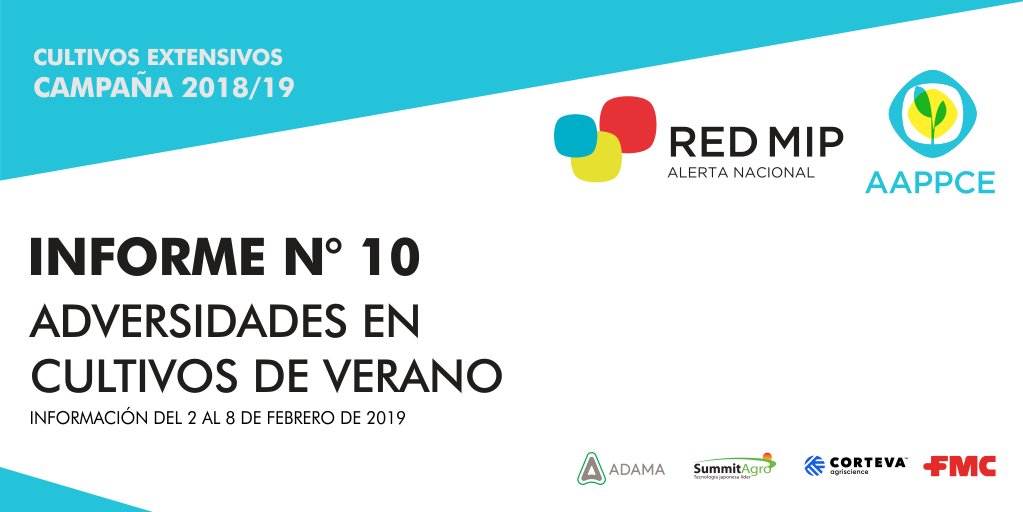 🐛🌻🌿#InformeRedMIP <a href="/AAPPCE/">AAPPCE</a>: acerca de las adversidades en los cultivos del Oeste de Bs. As. van a encontrar los datos actualizados de los monitoreos que con el equipo de #ExtensiónODS aportamos a la #RegionalOesteAAPPCE.
Descargá el reporte 👉 bit.ly/2SslQ3m