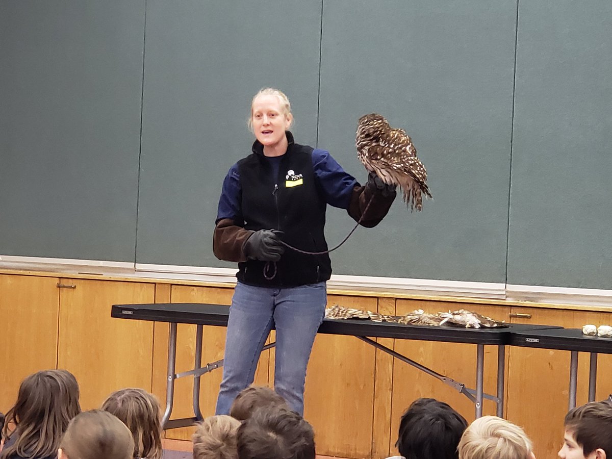 Thank you to our friends from Northern Virginia Regional Parks for talking to our students about birds of prey and why their adaptations make them so successful. #TuckahoeRocks @TESschoolyard @APSVirginia @APSThinkers @APSscience @Tuckahoe3rd @CReillyRTG