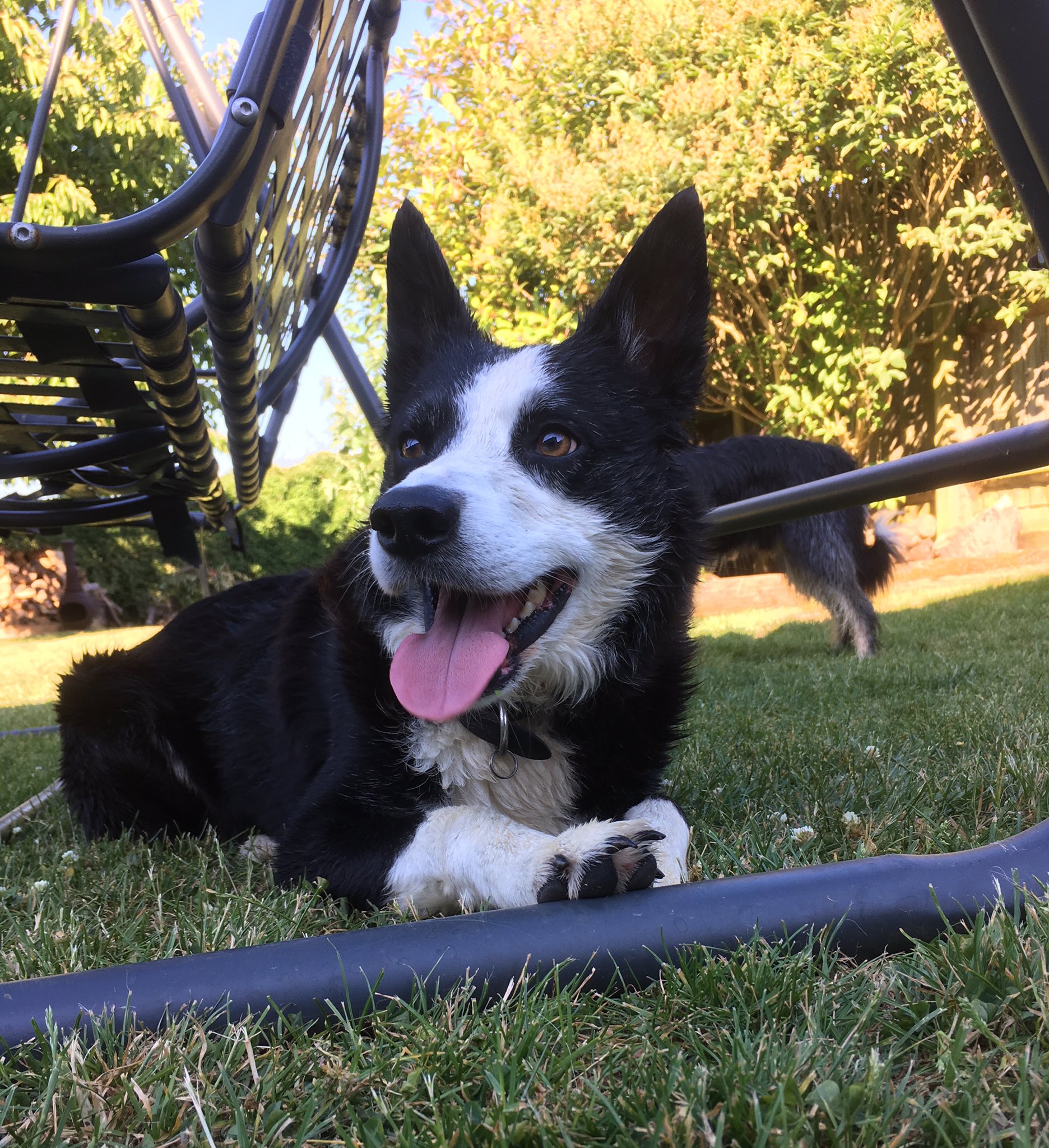 Happy 9th birthday to the frank, the sweetest seal I ve ever met <3 