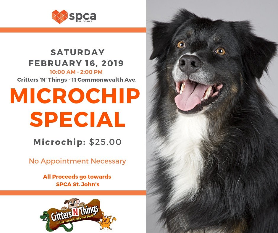 SPCAStJohns's tweet photo. We're hosting another Microchip special! Help your lost pets find their way home by visiting us at Critters N'Things in Mount Pearl on Saturday, February 16.
See you there! :) #microchip #microchipping #supportspca #spcastjohns https://t.co/ZJXbBFvXVw