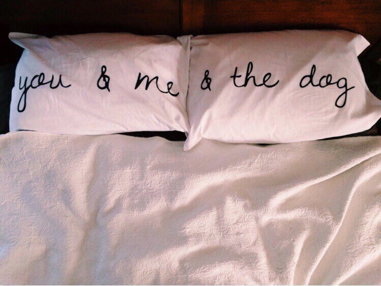 LouWright_RP's tweet photo. @Dj_BenjiW Remind you of anything?
#OurBed #Charlie https://t.co/Z6ZvUKfWzj